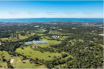 Aerial Photo Thornlands QLD Aerial Photography