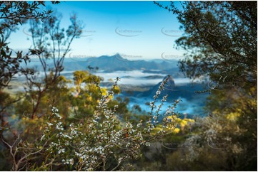 Tea Tree Blossoms - Night Cap National Park Aerial Photography