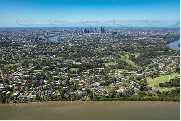 Aerial Photo Indooroopilly QLD Aerial Photography