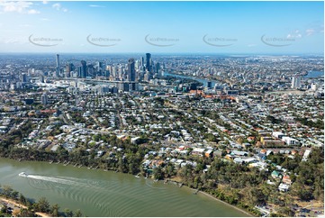 Aerial Photo Dutton Park Aerial Photography