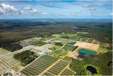 Aerial Photo Beerwah QLD Aerial Photography