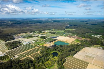 Aerial Photo Beerwah QLD Aerial Photography