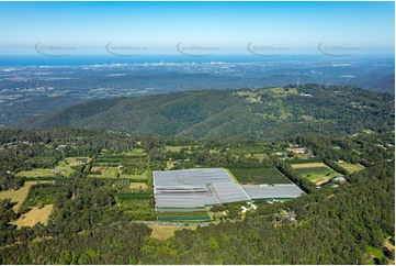 High Altitude Aerial Photo Tamborine Mountain QLD Aerial Photography