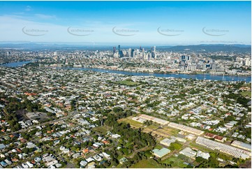 Aerial Photo Bulimba QLD Aerial Photography