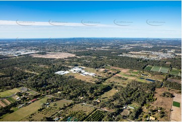 Aerial Photo Park Ridge QLD Aerial Photography