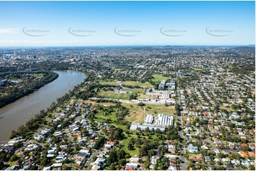 Aerial Photo Yeronga QLD Aerial Photography