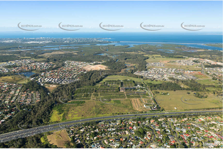 Aerial Photo Griffin QLD Aerial Photography