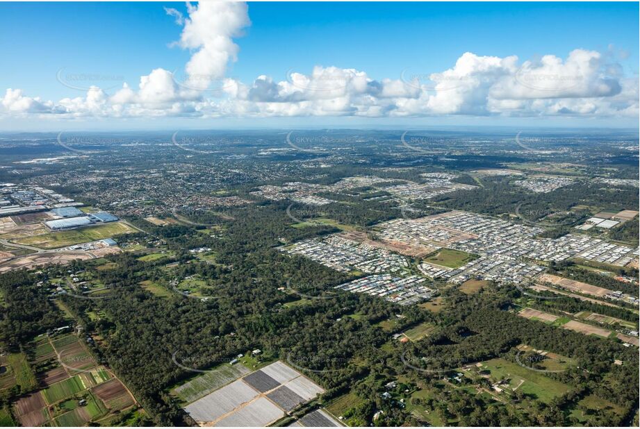 Aerial Photo Park Ridge QLD Aerial Photography