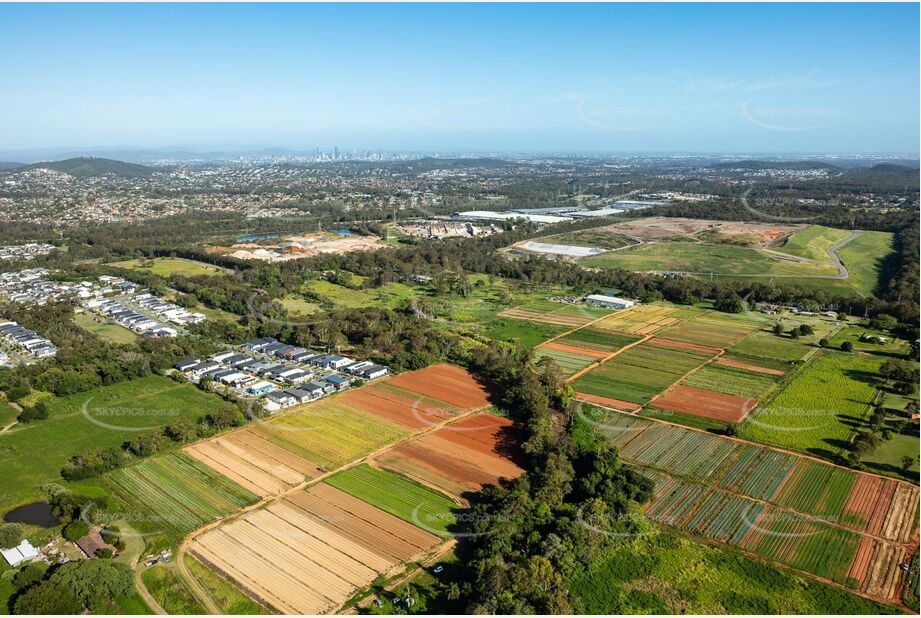 Aerial Photo Rochedale QLD Aerial Photography