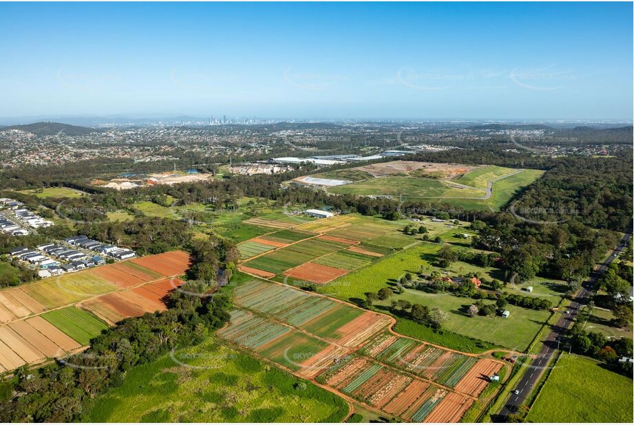 Aerial Photo Rochedale QLD Aerial Photography