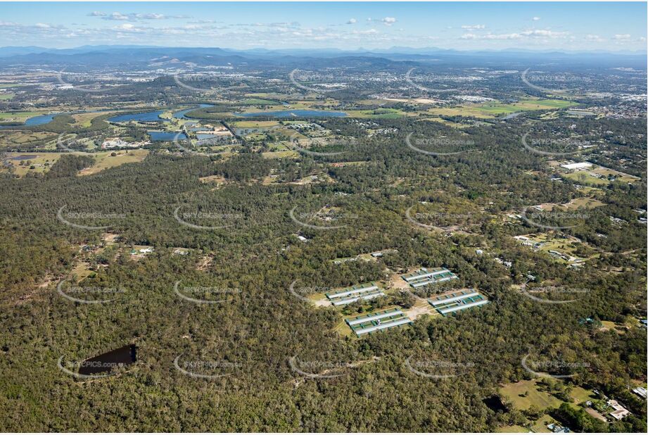 Aerial Photo Carbrook QLD Aerial Photography