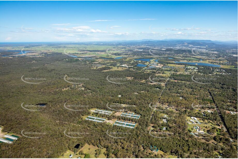 Aerial Photo Carbrook QLD Aerial Photography