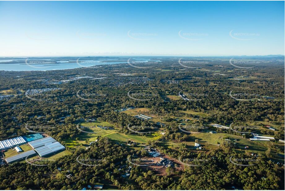 Aerial Photo Thornlands QLD Aerial Photography