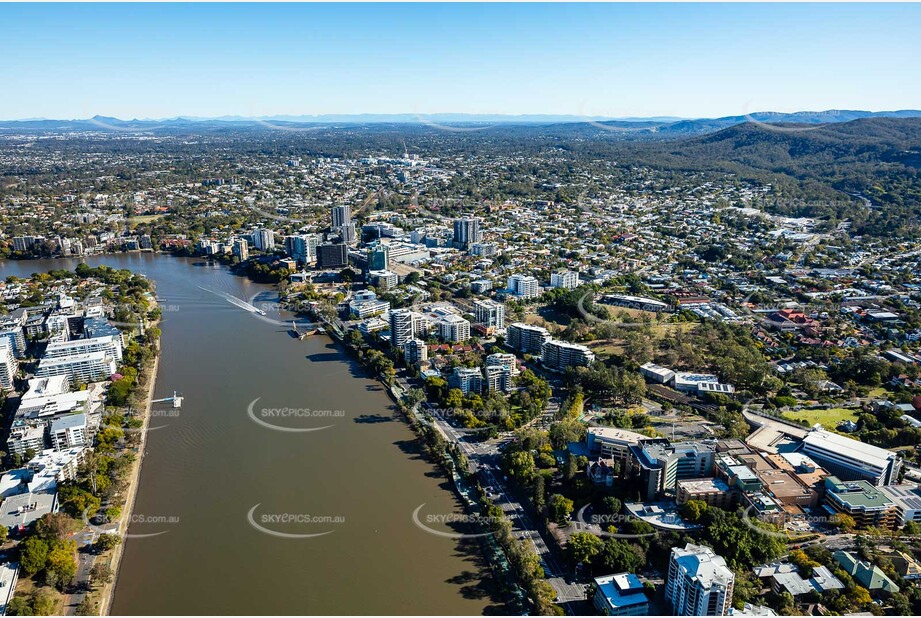 Aerial Photo Auchenflower QLD Aerial Photography