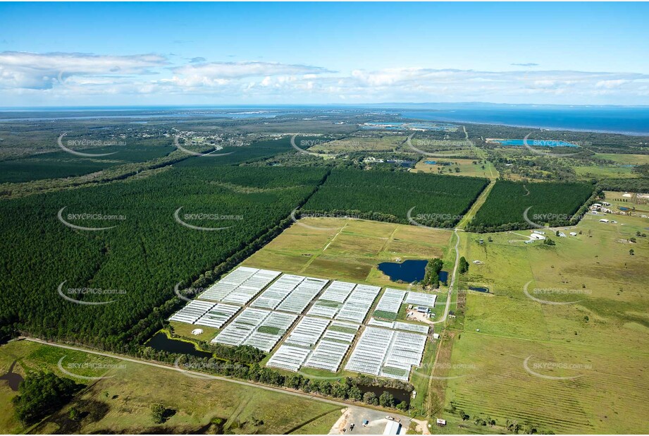 Aerial Photo Caboolture QLD Aerial Photography