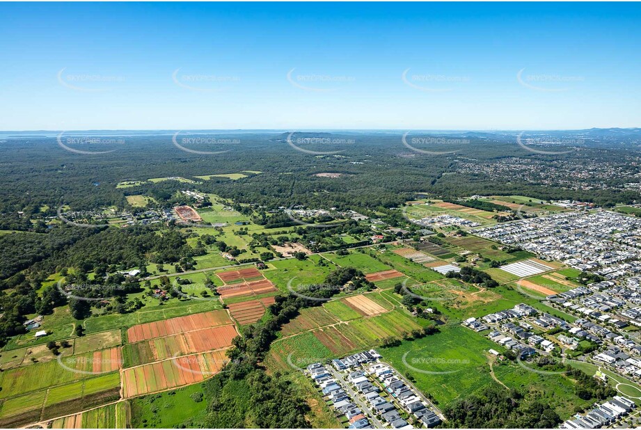 Aerial Photo Rochedale QLD Aerial Photography