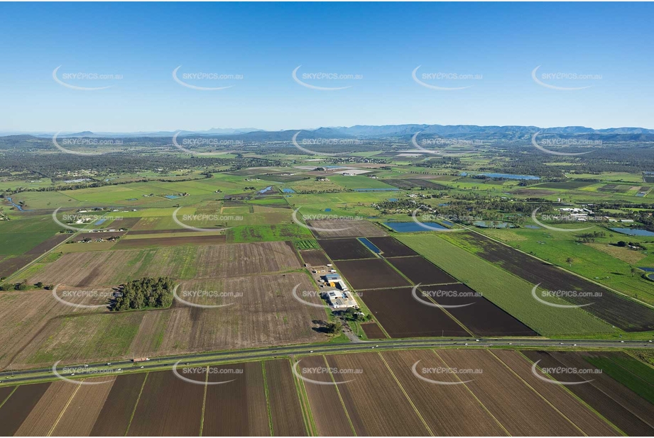 Aerial Photo College View QLD Aerial Photography