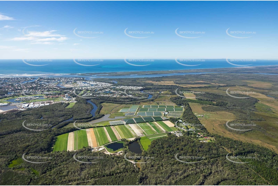 Daleys Turf Bells Creek QLD Aerial Photography