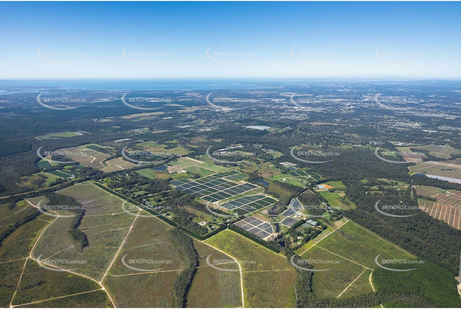 Aerial Photo Elimbah QLD Aerial Photography