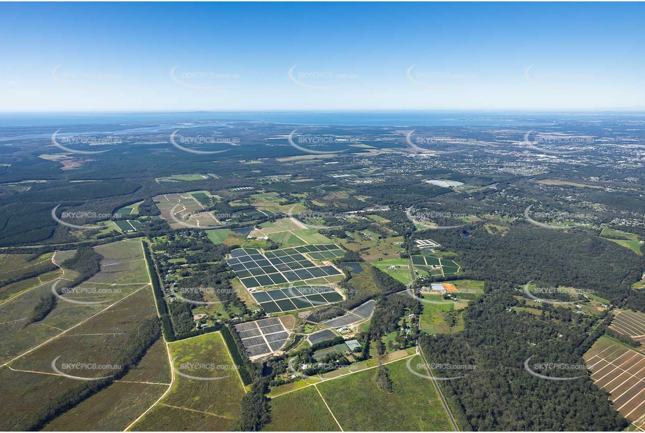 Aerial Photo Elimbah QLD Aerial Photography