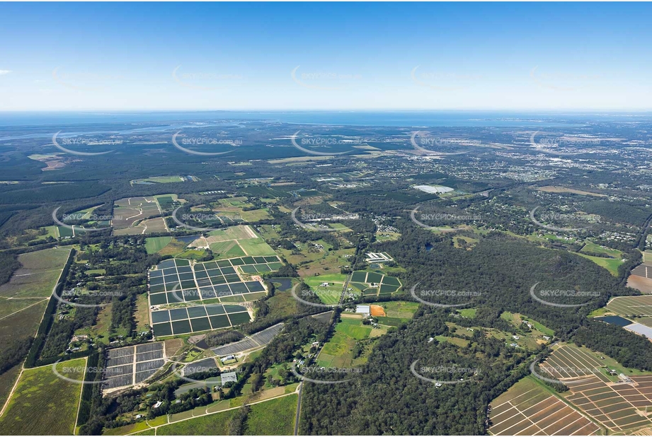 Aerial Photo Elimbah QLD Aerial Photography
