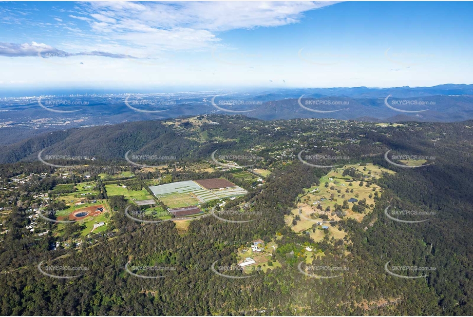 Aerial Photo Tamborine Mountain QLD Aerial Photography