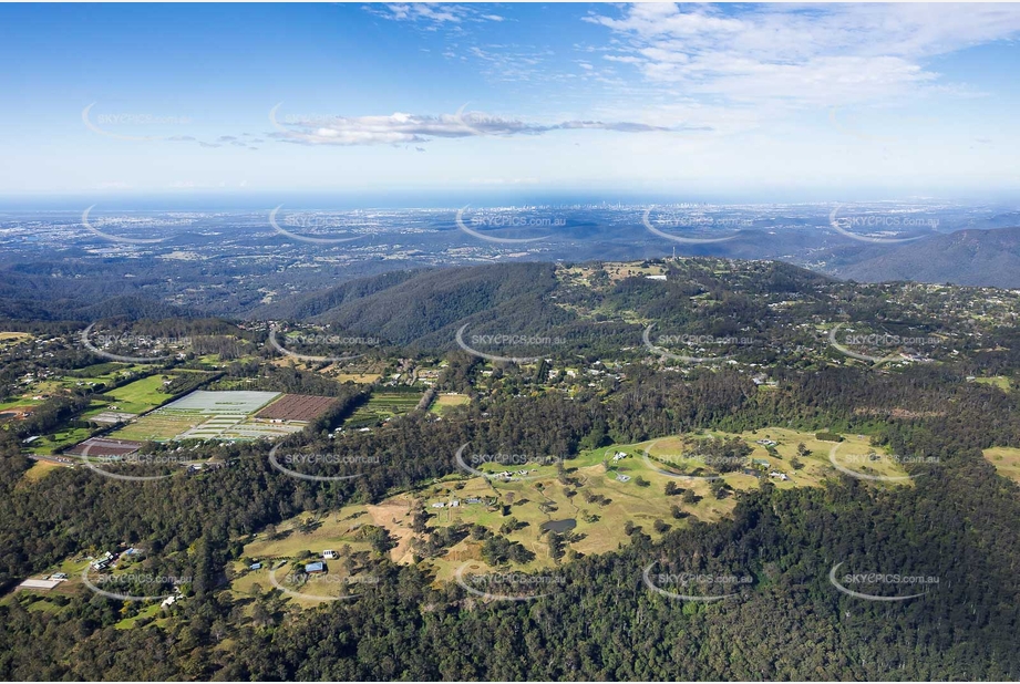 Aerial Photo Tamborine Mountain QLD Aerial Photography