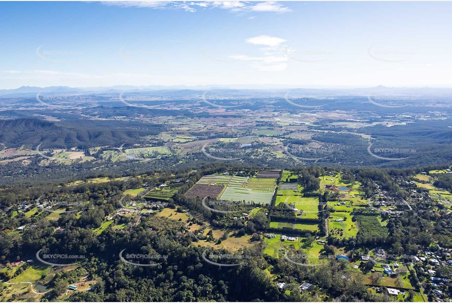 Aerial Photo Tamborine Mountain QLD Aerial Photography