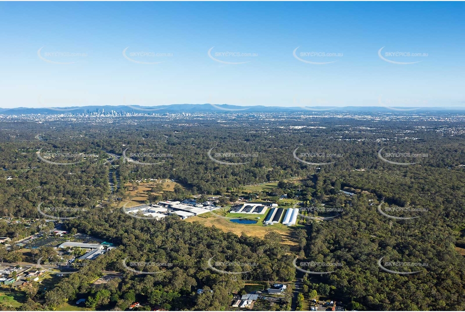 Aerial Photo Chandler QLD Aerial Photography