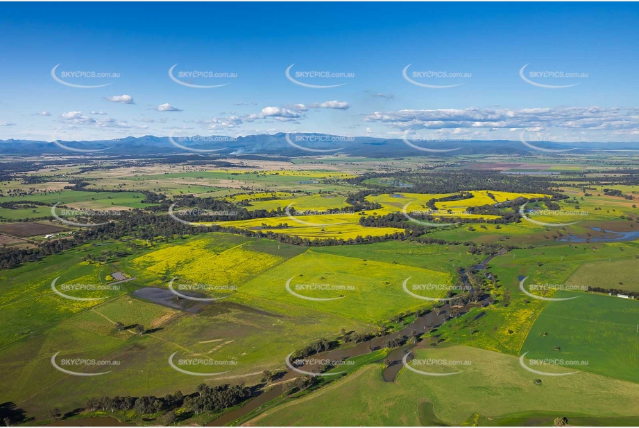 Canola Fields at Turrawan NSW Aerial Photography