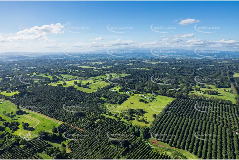 Aerial Photo Tregeagle NSW Aerial Photography