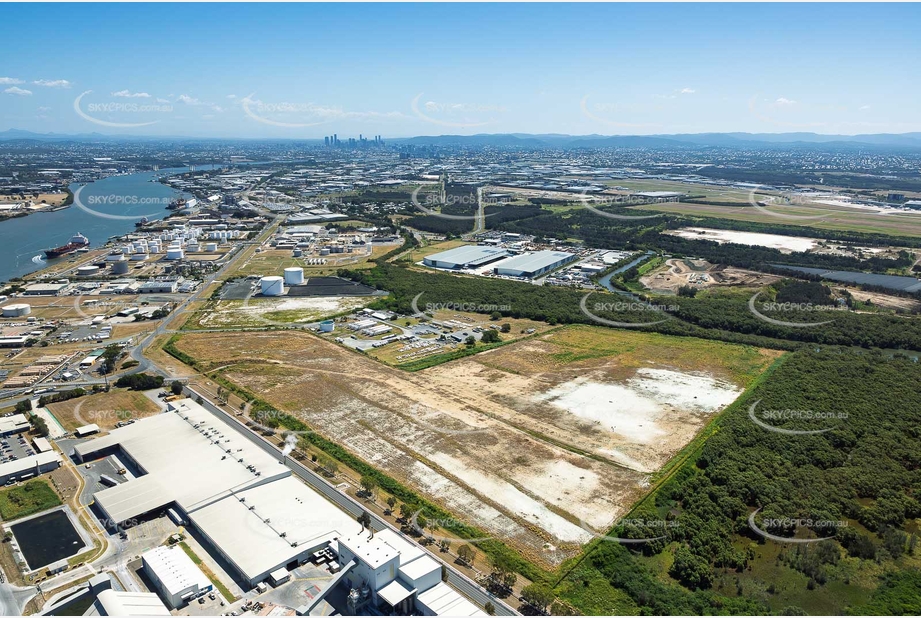 Aerial Photo Pinkenba QLD Aerial Photography