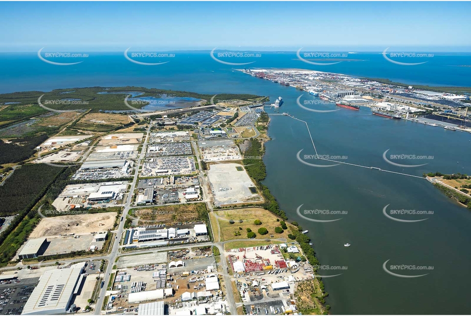 Aerial Photo Pinkenba QLD Aerial Photography