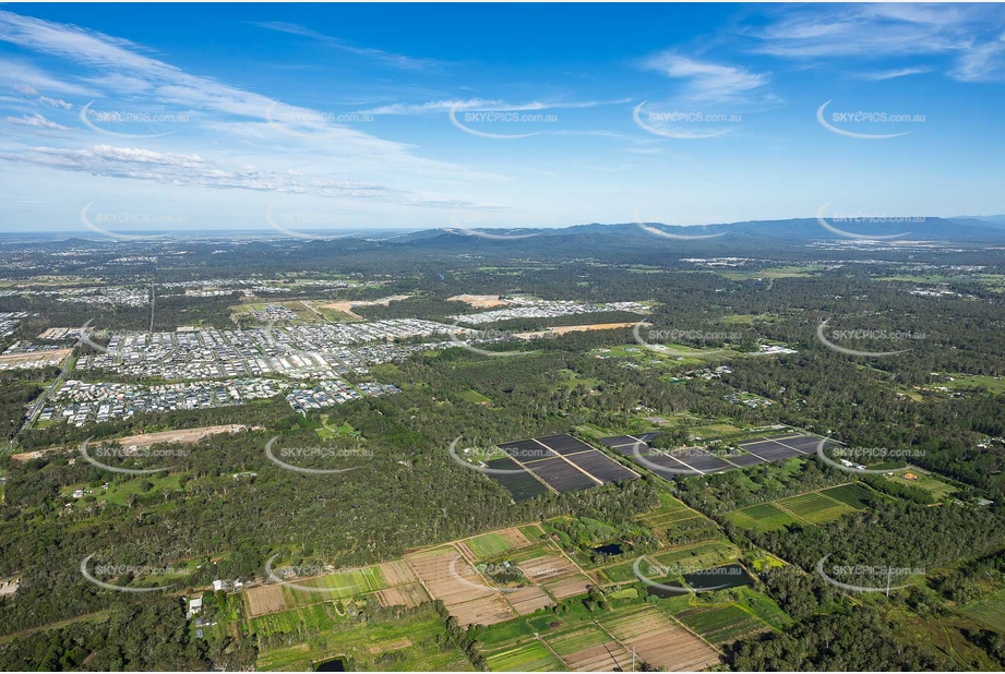 Aerial Photo Park Ridge QLD Aerial Photography