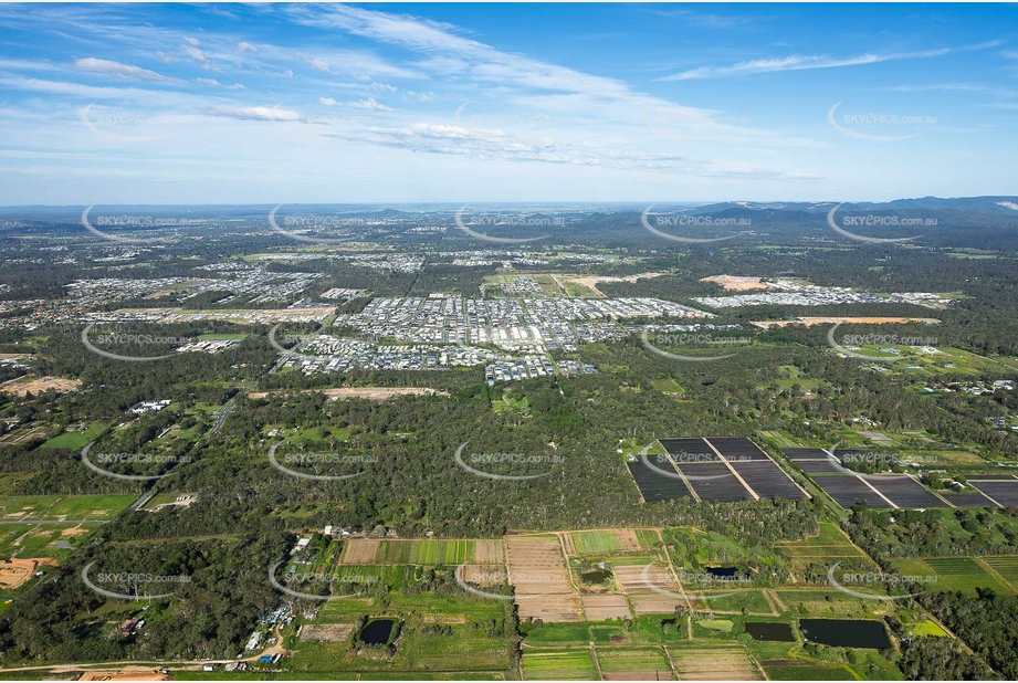Aerial Photo Park Ridge QLD Aerial Photography
