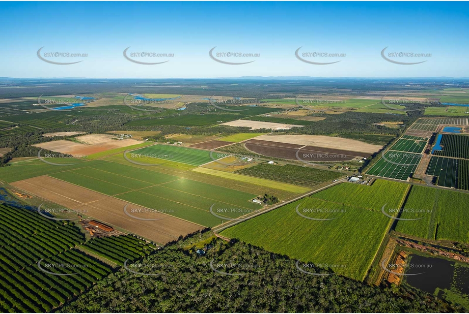 Aerial Photo Alloway QLD Aerial Photography