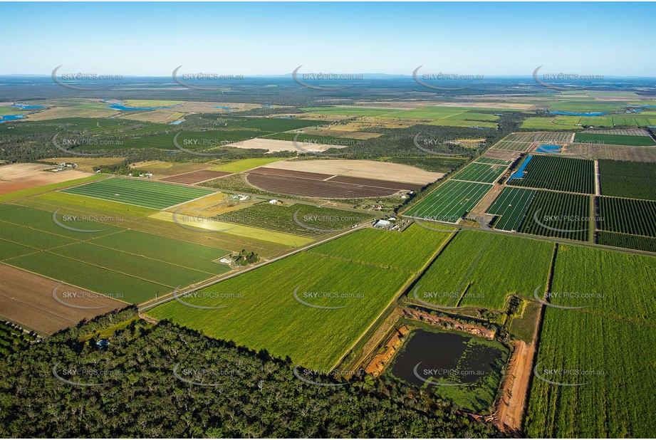 Aerial Photo Alloway QLD Aerial Photography