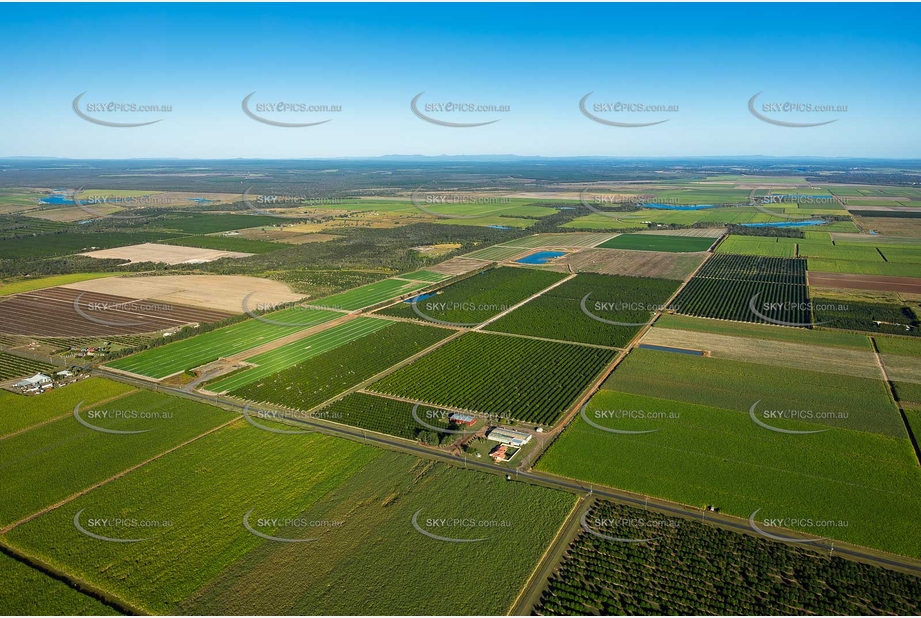 Aerial Photo Alloway QLD Aerial Photography