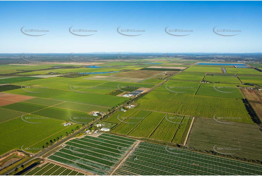 Aerial Photo Alloway QLD Aerial Photography