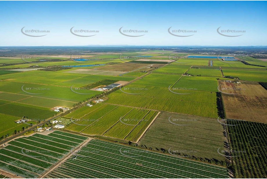 Aerial Photo Alloway QLD Aerial Photography