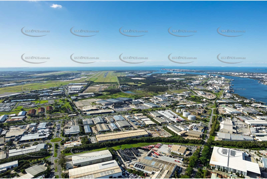 Aerial Photo Pinkenba QLD Aerial Photography