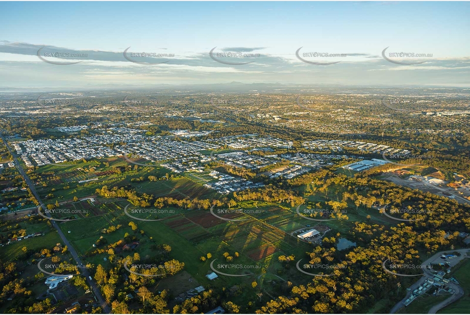 Early Morning Aerial Photo Rochedale QLD