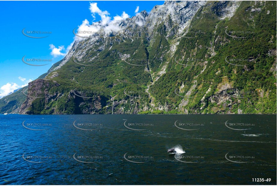 On the Road to Milford Sound Aerial Photography