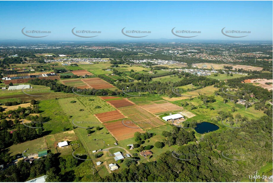 Aerial Photo Rochedale QLD Aerial Photography