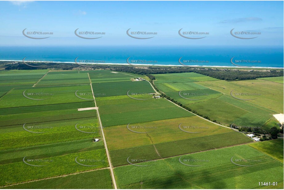 Sugar Cane at Empire Vale Aerial Photography