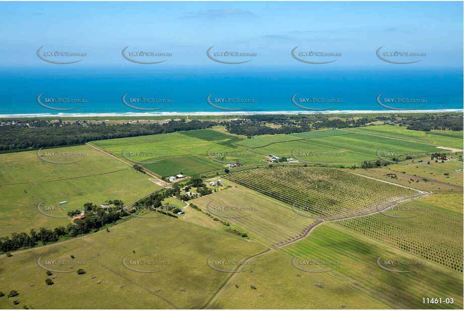Sugar Cane at Empire Vale Aerial Photography