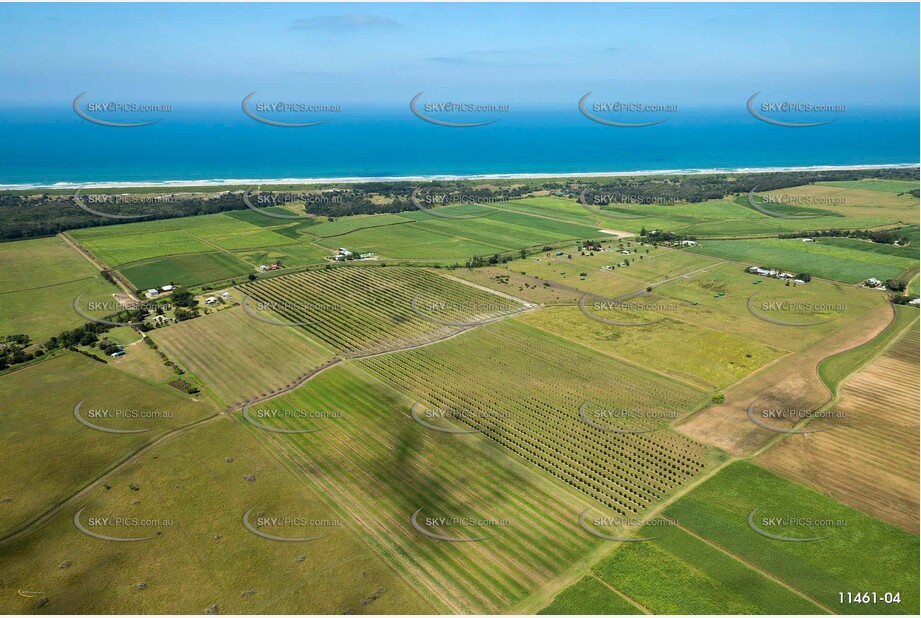 Sugar Cane at Empire Vale Aerial Photography