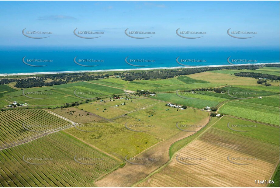 Sugar Cane at Empire Vale Aerial Photography