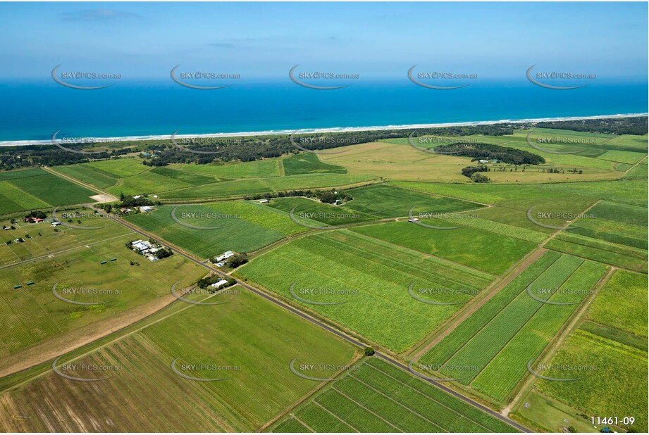 Sugar Cane at Empire Vale Aerial Photography