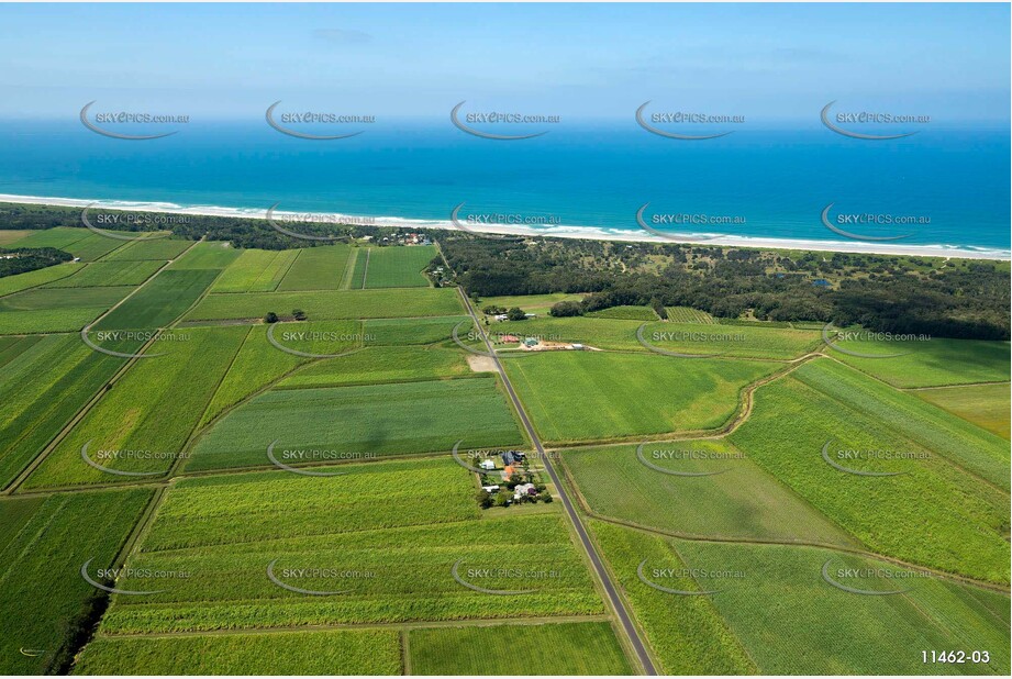 Sugar Cane Land at Patchs Beach Aerial Photography